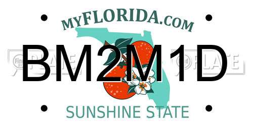 BM2M1D Florida License Plate