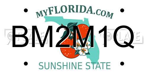 BM2M1Q Florida License Plate