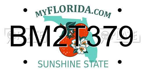 BM2T379 Florida License Plate