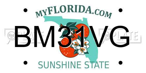 BM31VG Florida License Plate