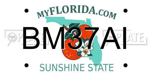 BM37AI Florida License Plate