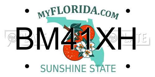 BM41XH Florida License Plate