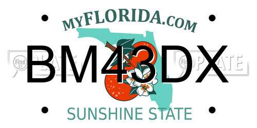 BM43DX Florida License Plate