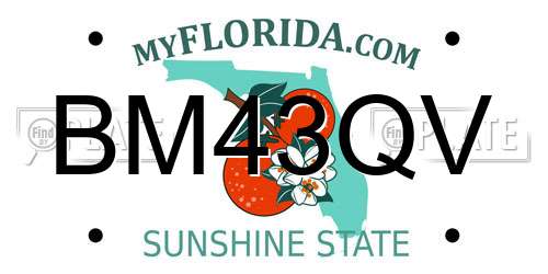 BM43QV Florida License Plate