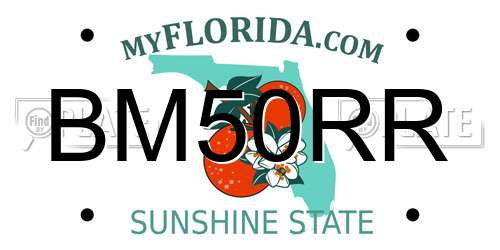 BM50RR Florida License Plate