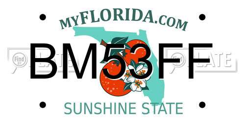 BM53FF Florida License Plate