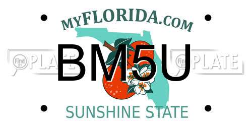 BM5U Florida License Plate