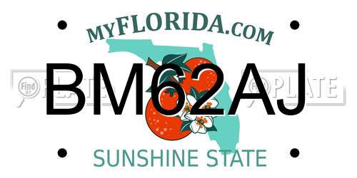 BM62AJ Florida License Plate