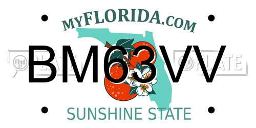 BM63VV Florida License Plate