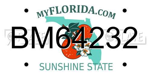 BM64232 Florida License Plate