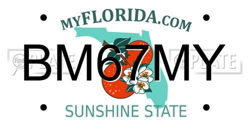 BM67MY Florida License Plate