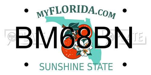 BM68BN Florida License Plate