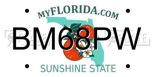 BM68PW Florida License Plate