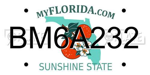 BM6A232 Florida License Plate