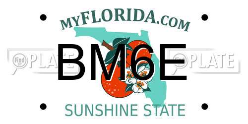 BM6E Florida License Plate