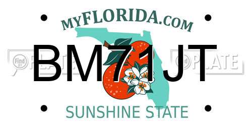BM71JT Florida License Plate