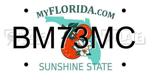 BM73MC Florida License Plate