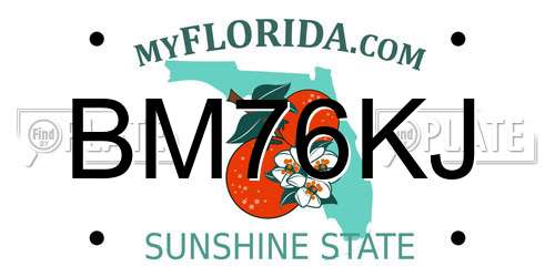 BM76KJ Florida License Plate
