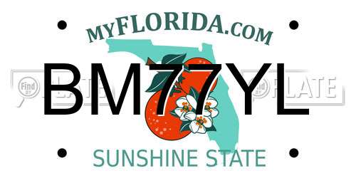 BM77YL Florida License Plate