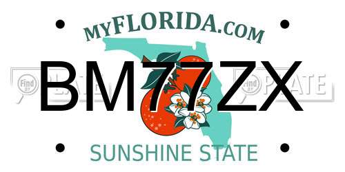 BM77ZX Florida License Plate