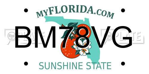 BM78VG Florida License Plate