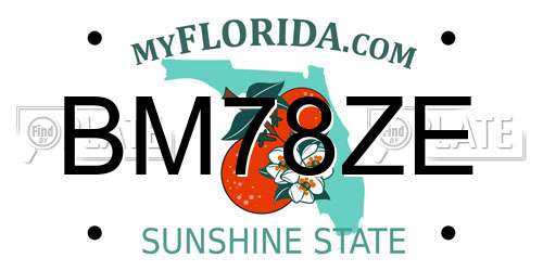 BM78ZE Florida License Plate