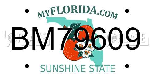 BM79609 Florida License Plate