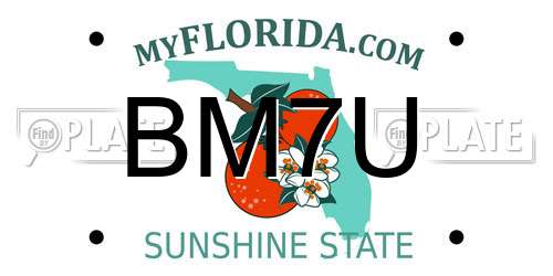 BM7U Florida License Plate