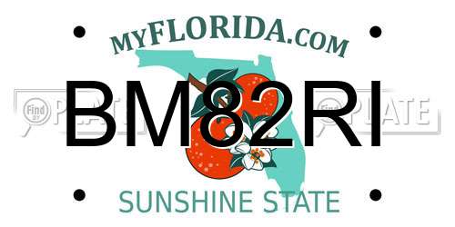 BM82RI Florida License Plate