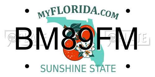 BM89FM Florida License Plate