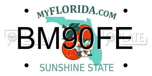 BM90FE Florida License Plate