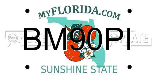 BM90PI Florida License Plate