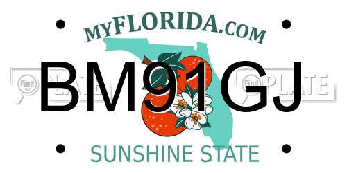 BM91GJ Florida License Plate