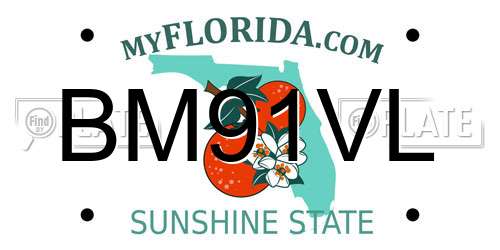 BM91VL Florida License Plate