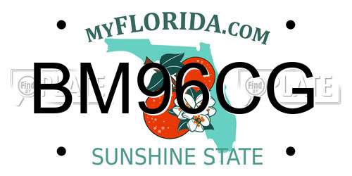 BM96CG Florida License Plate