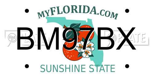 BM97BX Florida License Plate