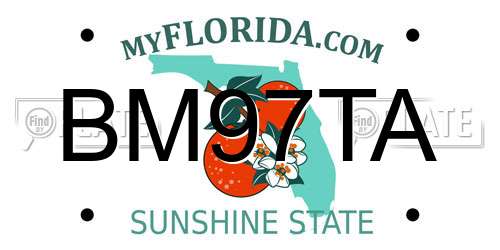 BM97TA Florida License Plate