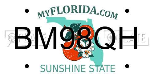 BM98QH Florida License Plate
