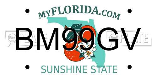BM99GV Florida License Plate