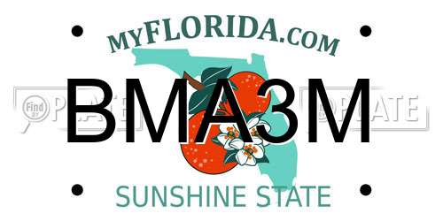 BMA3M Florida License Plate
