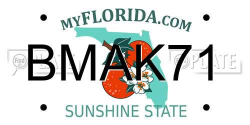 BMAK71 Florida License Plate