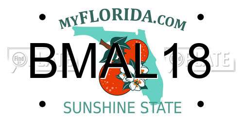 BMAL18 Florida License Plate