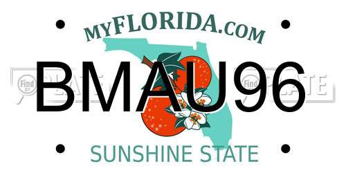 BMAU96 Florida License Plate