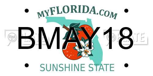 BMAY18 Florida License Plate