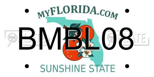 BMBL08 Florida License Plate