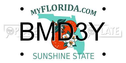 BMD3Y Florida License Plate