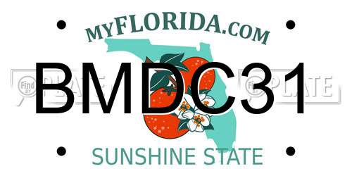 BMDC31 Florida License Plate