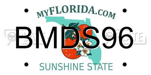 BMDS96 Florida License Plate