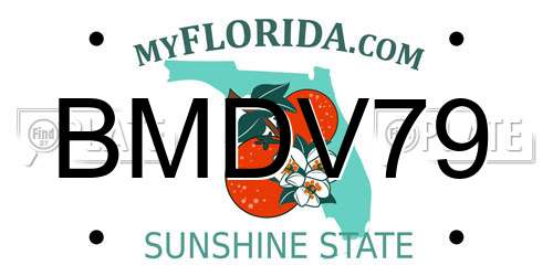 BMDV79 Florida License Plate