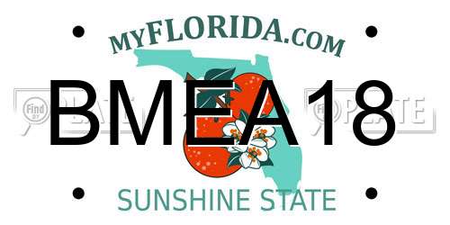 BMEA18 Florida License Plate